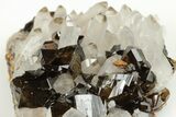 Gemmy Cassiterite Crystal Cluster - Viloco Mine, Bolivia #192163-1